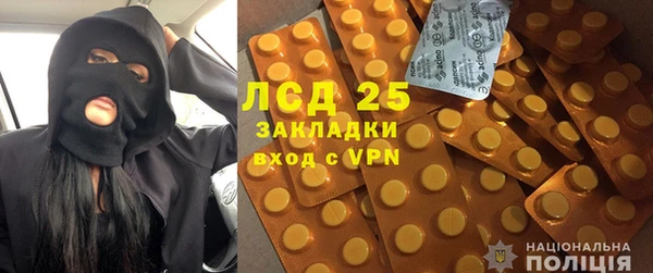 прущие грибы Мензелинск