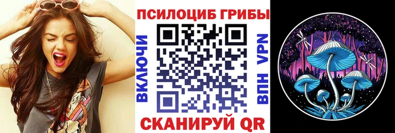 Псилоцибиновые грибы ЛСД Новокузнецк